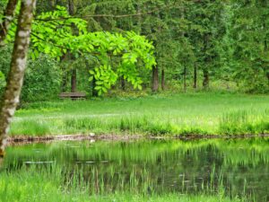 Holzbriketts – saubere Wärme aus dem Wald – Lagerhaus Achental